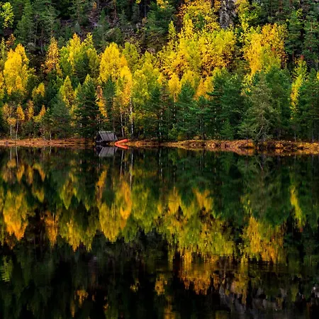 Dolemo Fosslaugfoss Tatil Evi *