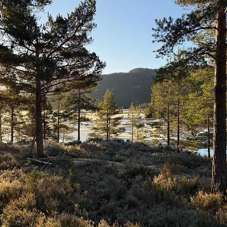 Dolemo Fosslaugfoss Dolemo